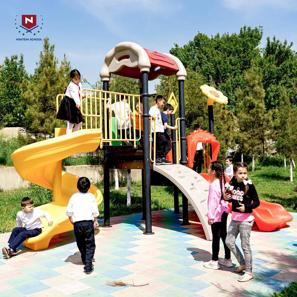 Nshtein School — Konchilik — rasm 3