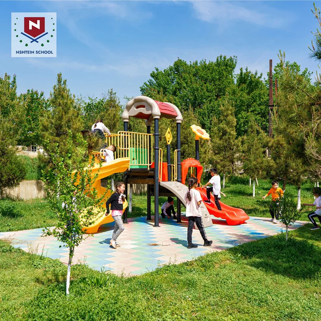 Nshtein School — Konchilik — rasm 4