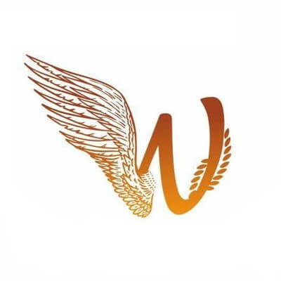 Winners International School logosi